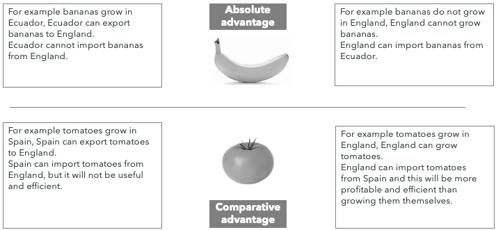 absolute advantage, comparative advantage, Adam Smith